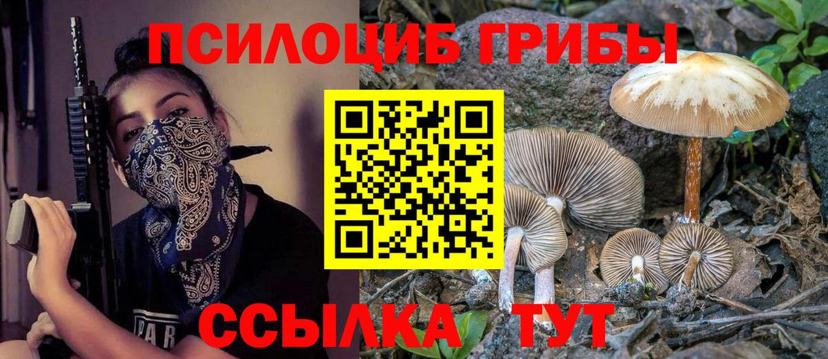 Галлюциногенные грибы прущие грибы Зеленодольск